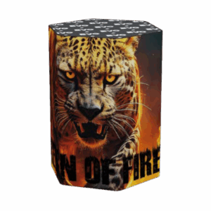 Reign Of Fire